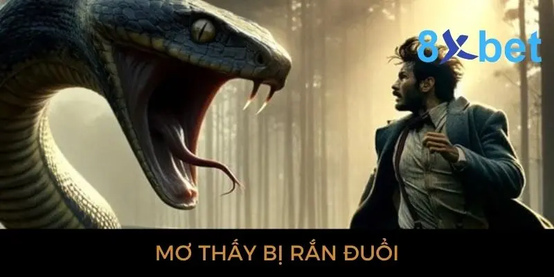 Giải mã giấc mơ thấy rắn: Bí ẩn và điềm báo gì? Mơ thấy bị rắn đuổi